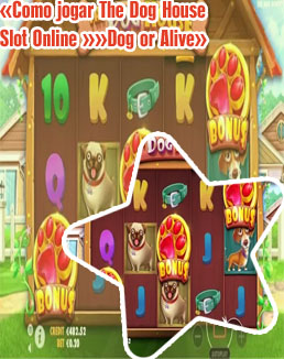 Slot dog house